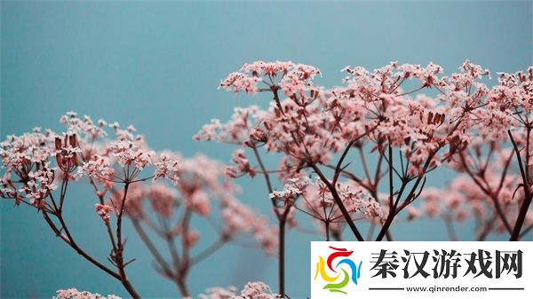 麻花传md017清歌咖啡屋